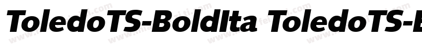 ToledoTS-BoldIta ToledoTS-BoldIta字体转换